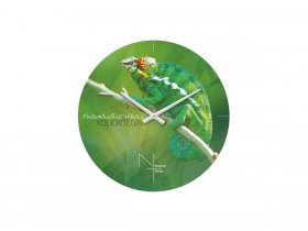 Часы настенные Nicole Time NT503 в Прокудском - prokudskoe.mebel-nsk.ru | фото